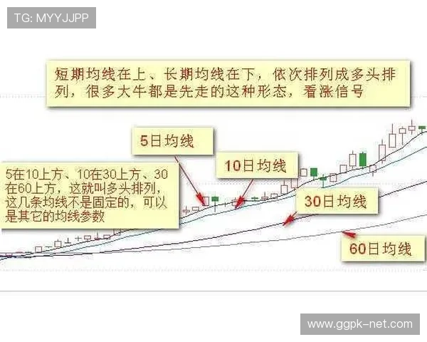 百家乐路单图在实战中的应用技巧与常见误区详尽解析保障盈利的攻略手册